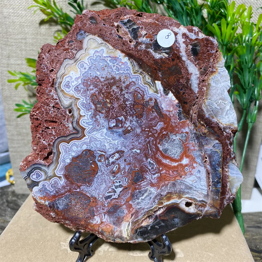 Mexican Agate Stone Slab +Stand